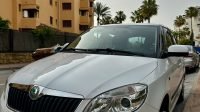 Skoda Fabia 1.2 60 Young 5p, 2010 year, 87054 km